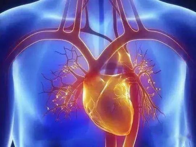 BETAÍNA NO TRATAMENTO DE DOENÇAS VASCULARES