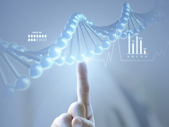 Efeitos farmacológicos da betaína