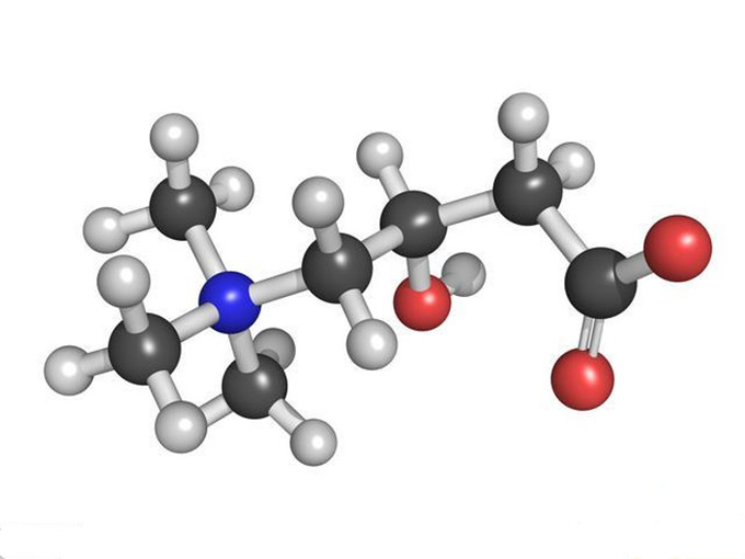 O que é L-carnitina?